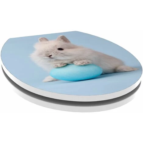 ALLIBERT Abattant WC En Thermodur BUNNY- Fermeture Progressive - Décor – Image 3