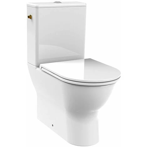 ALLIBERT Pack WC à Poser DUNEO - Mécanisme 3/6L Et Alimentation D'eau Silencieuse - Blanc