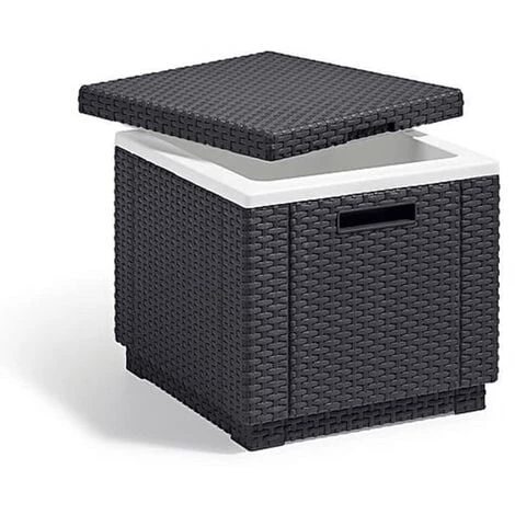 Glacière En Plastique Graphite 213828 Allibert - Gris